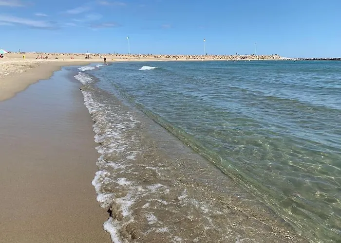 T2 Dans Plain-pied Avec Parking Prive * Canet-en-Roussillon